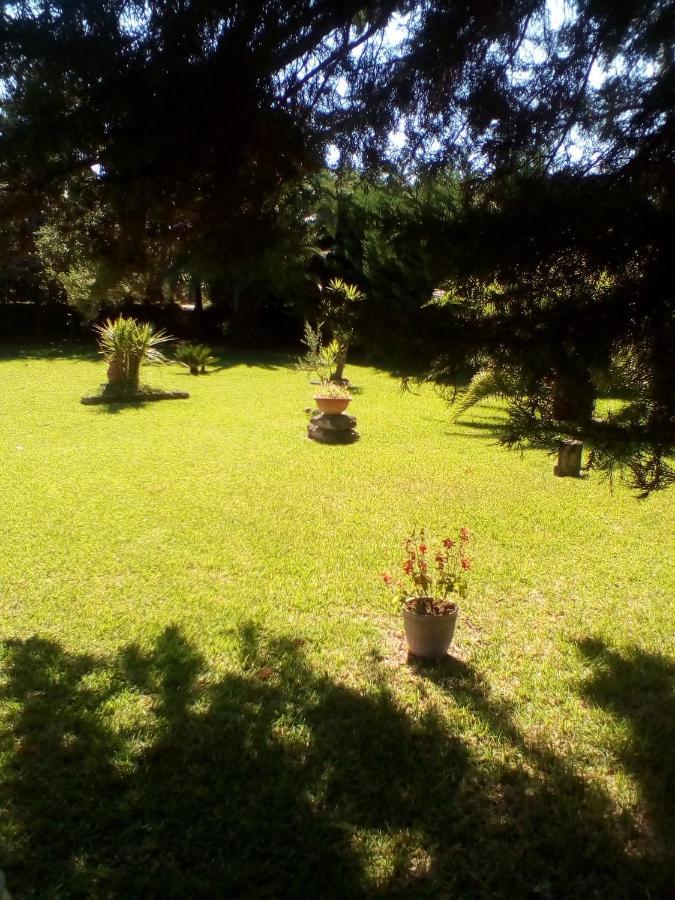 Mamena Bed & Breakfast Паестум Екстериор снимка